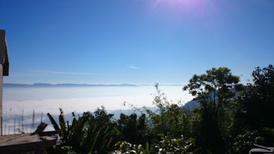 Photos of Nilgiri