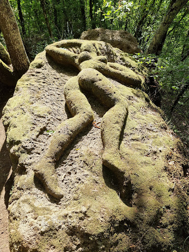 Opera Bosco