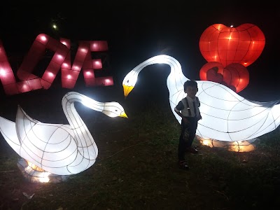 Photos of Grand Festival - Grand Residence Avenue