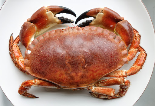 Jonas Seafoods Ltd - Thumbnail