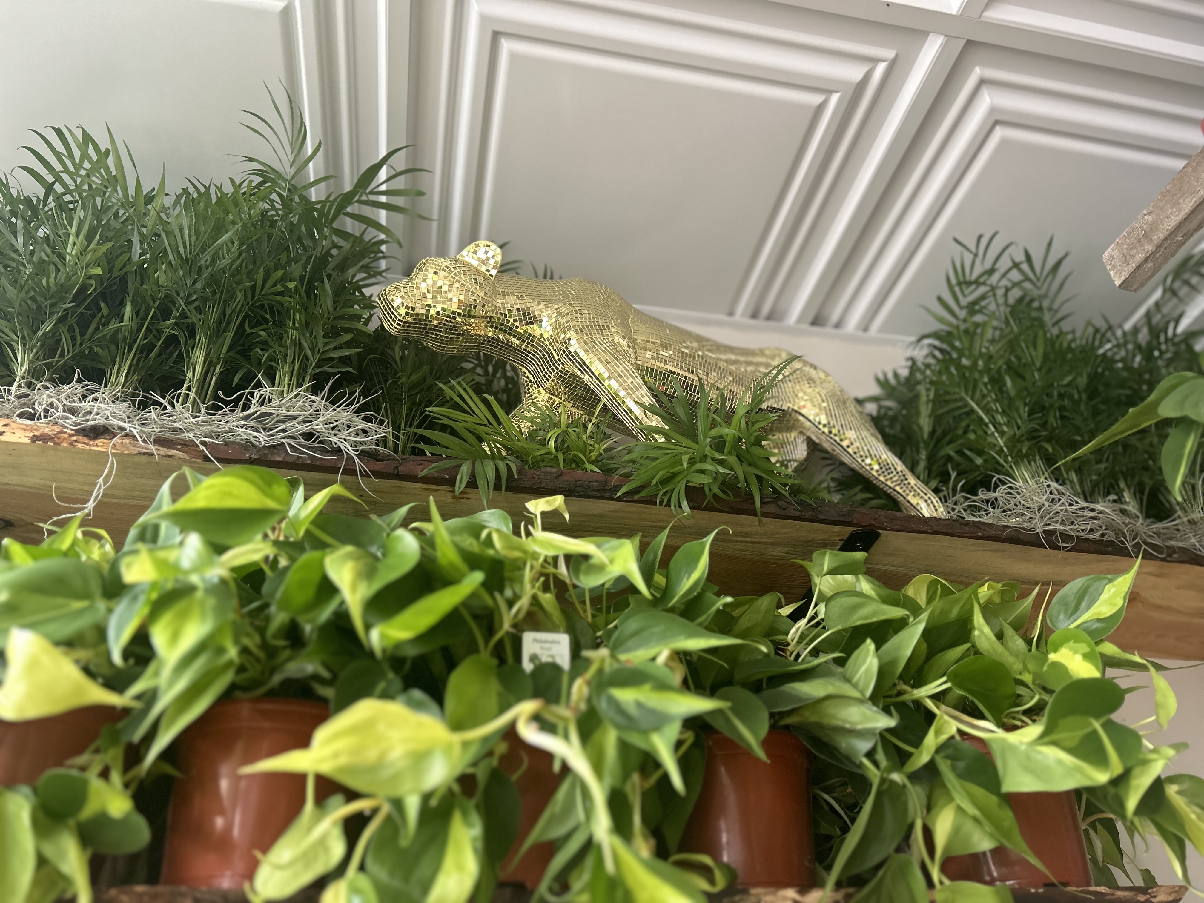 Boon Plant Bar