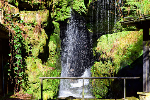 Amselfall - Visual