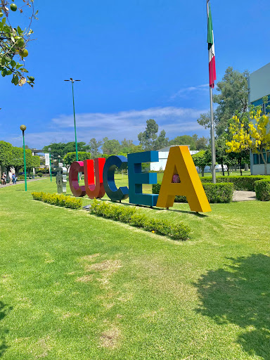 University Centre Of Economic And Administrative Sciences Gallery - Mexico