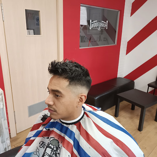 Barberia sebbab - Thumbnail