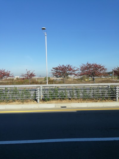 Photos of GS Caltex
