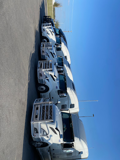 VIP Logistics - Visual