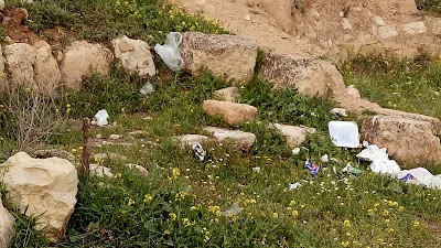 Photos of Hippodrome