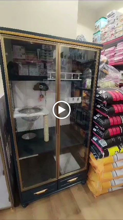 Pet shop Golden cat - صورة 2