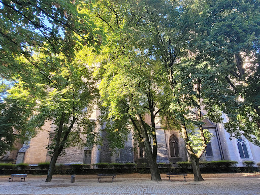 Square des Bénédictins - Thumbnail