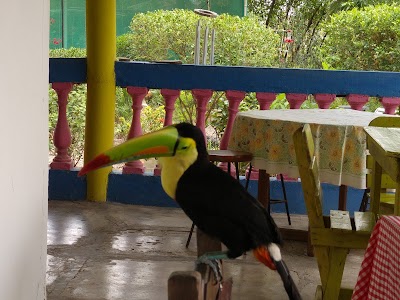 Photos of Finca Maracaibo
