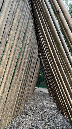 Bambú Maya - Thumbnail