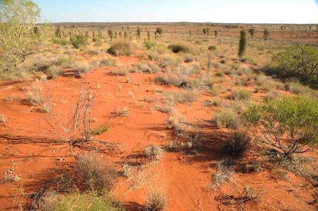 Uluru (Ayers Rock)