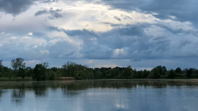 Opinii despre Odra în Ostrava - Fotograf