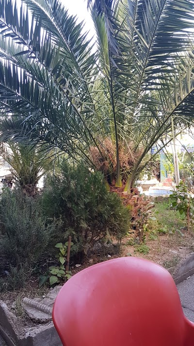 Photos of Jardin Colonel Amirouche