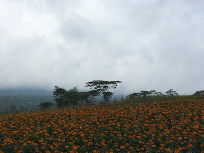 Hindu Temple