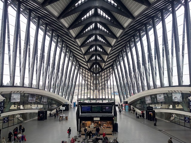 Gare de Lyon Saint-Exupéry TGV