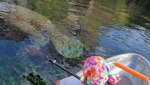 Clear Canoeing - Visual