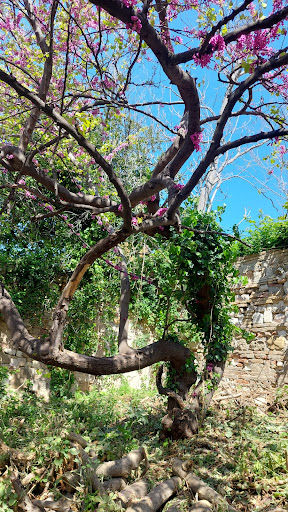 Terme Romane - Visual