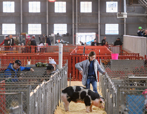 Fort Worth Stock Show & Rodeo by null