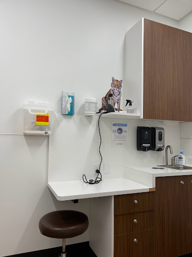 Allegro Pediatrics - Bothell - Visual