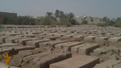 Photos of مقبرة اليهود