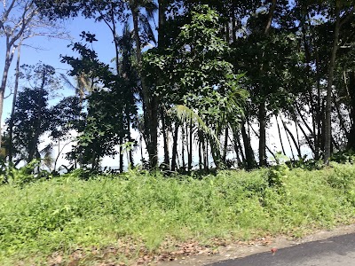 Photos of Planta Guapiles