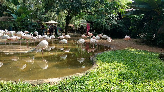 Parque das Aves