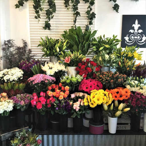 Vanessa Pringle Floral Designs - Thumbnail