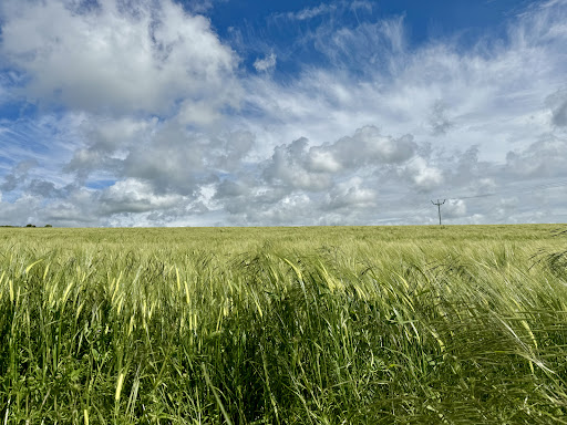 Devils Dyke Trail - Visual