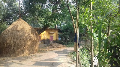 Photos of Batagaw Dokkhin Para Jame Moshzid