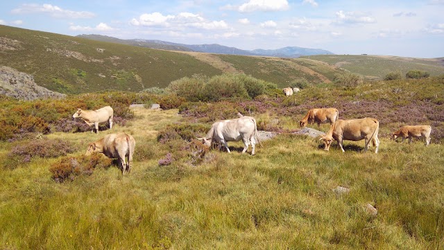 Lago de Sanabria