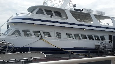 Photos of Dolphin Whale Watch