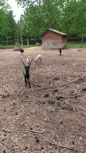 Hozzászólások és értékelések az Bábolnai Arborétum és Állatpark-ról