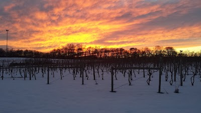 Turkey Point Vineyard Tasting Room