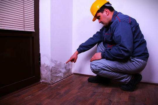 Laque Water Damage photo