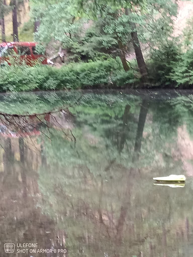 Waldteich - Visual