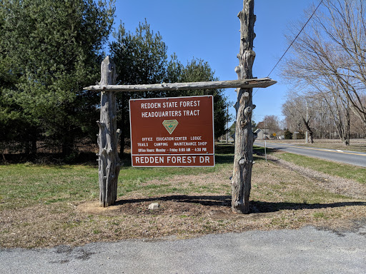 Redden State Forest - Visual