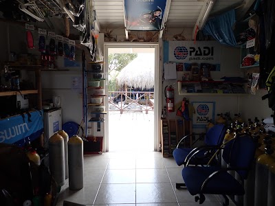 Photos of Curious 2 Dive