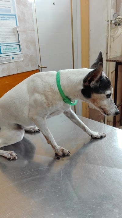 Photos of Veterinaria Felipe