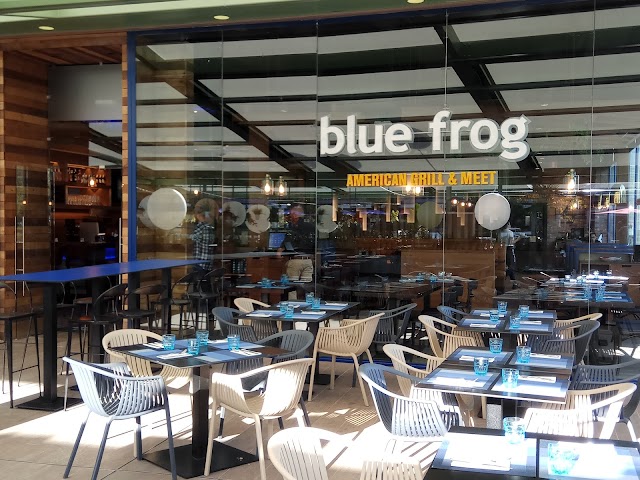 Blue Frog American Grill