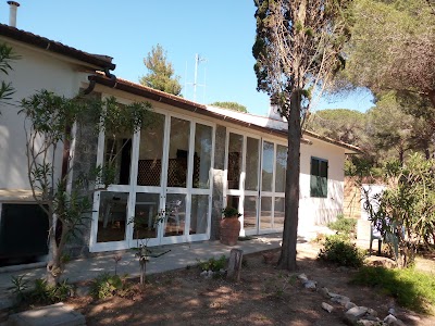 Photos of Camping Lido