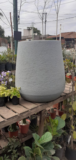 Vivero las camelias - Foto 1