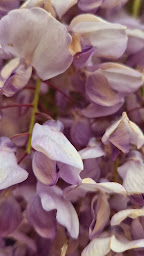 Photo n°2 de L'ESCALE DU SOMAIL à Saint-Nazaire-d'Aude (Restaurant méditerranéen)