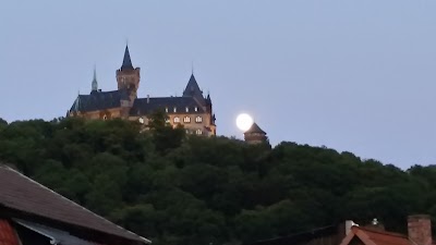 Photos of Das Bonaparte