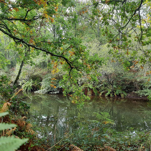 Parc de la Chêneraie