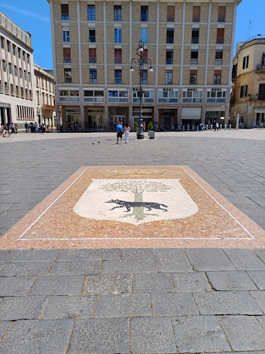 Spinelli - Visual