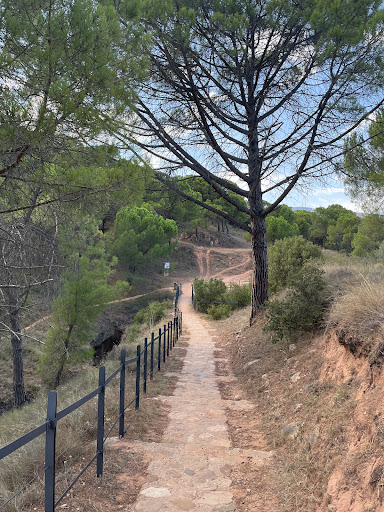 Sendero del Monte Vico