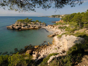 Photo n°19 de Sea-Voyages à Sèvres (Agence de voyages)