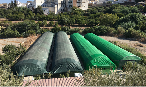 Viveros de olivos El zorro - Foto 1