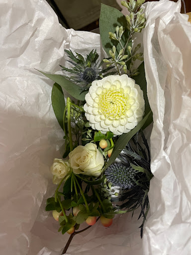 Chicory Kin Floral + Apothecary Gallery - United States